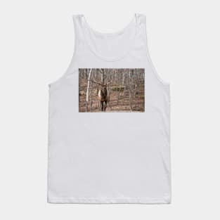 Elk Tank Top